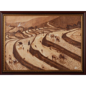 ĐI CÁY RUỘNG BẬC THANG 2