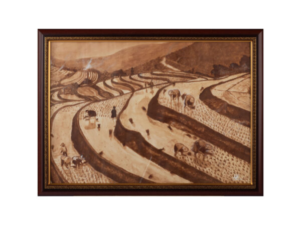 ĐI CÁY RUỘNG BẬC THANG 2